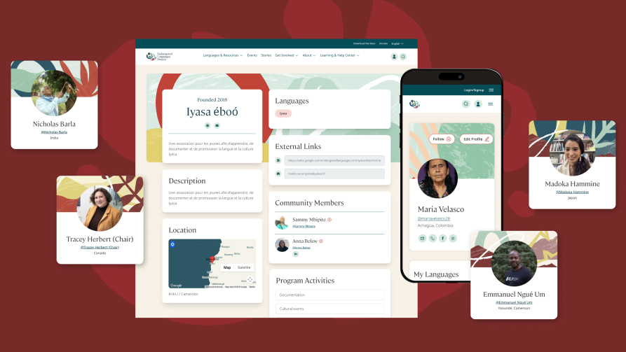 Data Visualization for Nonprofit Impact Reports