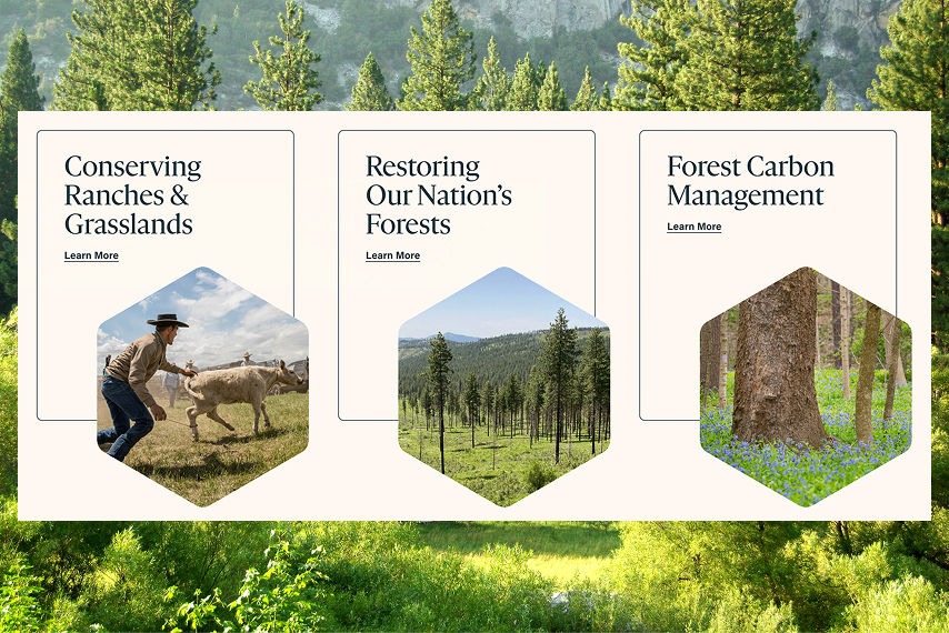 The Climate Trust